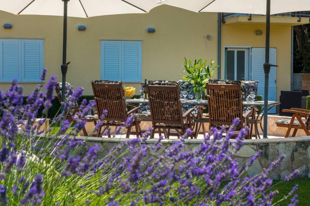 Vila Vergatum-Privacy,Gym,Billiards,Table Tennis Donji Brgat Bagian luar foto