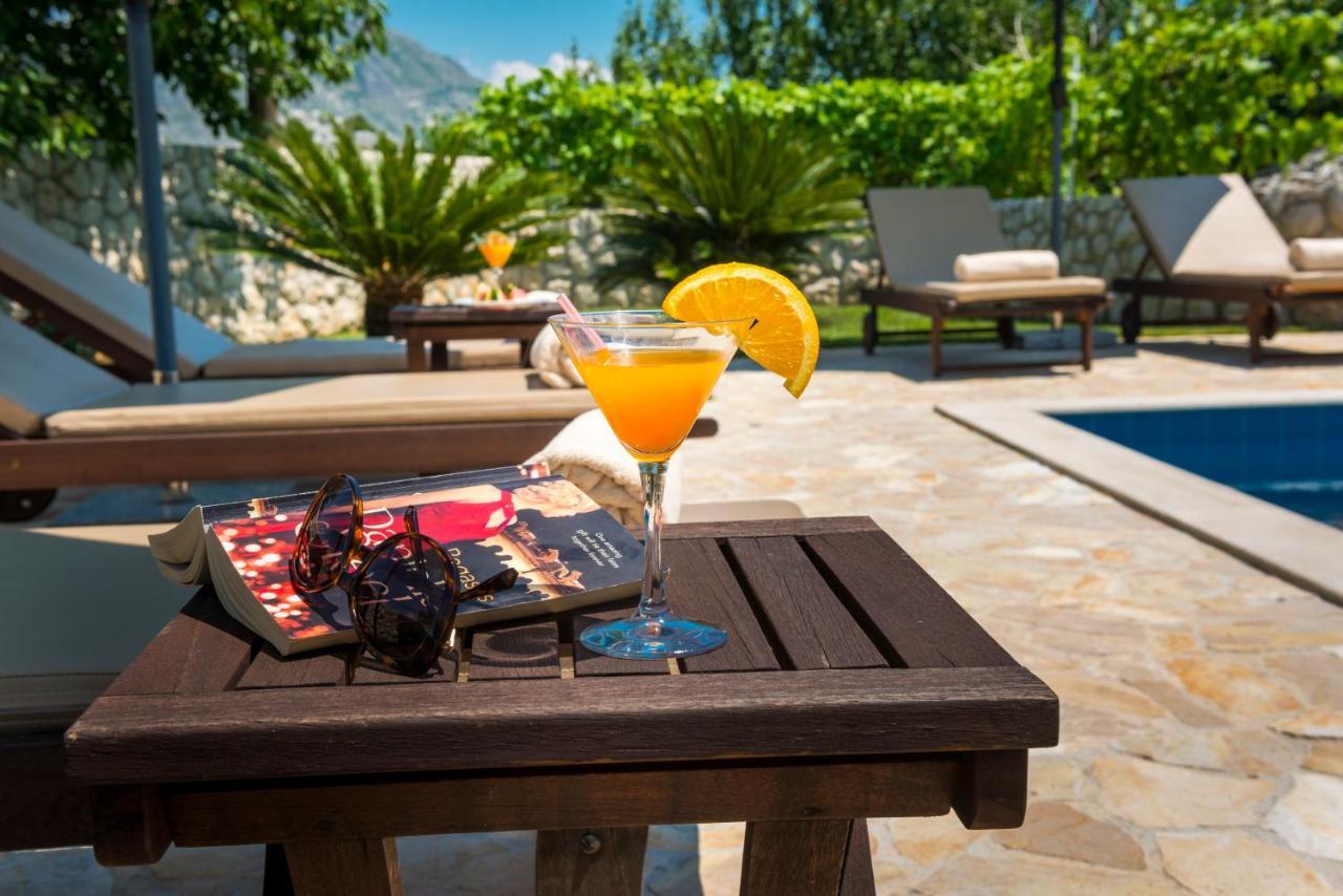 Vila Vergatum-Privacy,Gym,Billiards,Table Tennis Donji Brgat Bagian luar foto